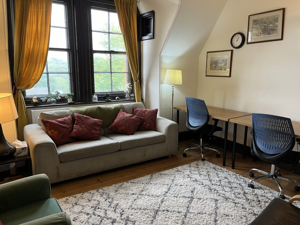 Image of interior of Library room space featuring lounge furniture, desk and window around a cosy rug and subdued lighting.